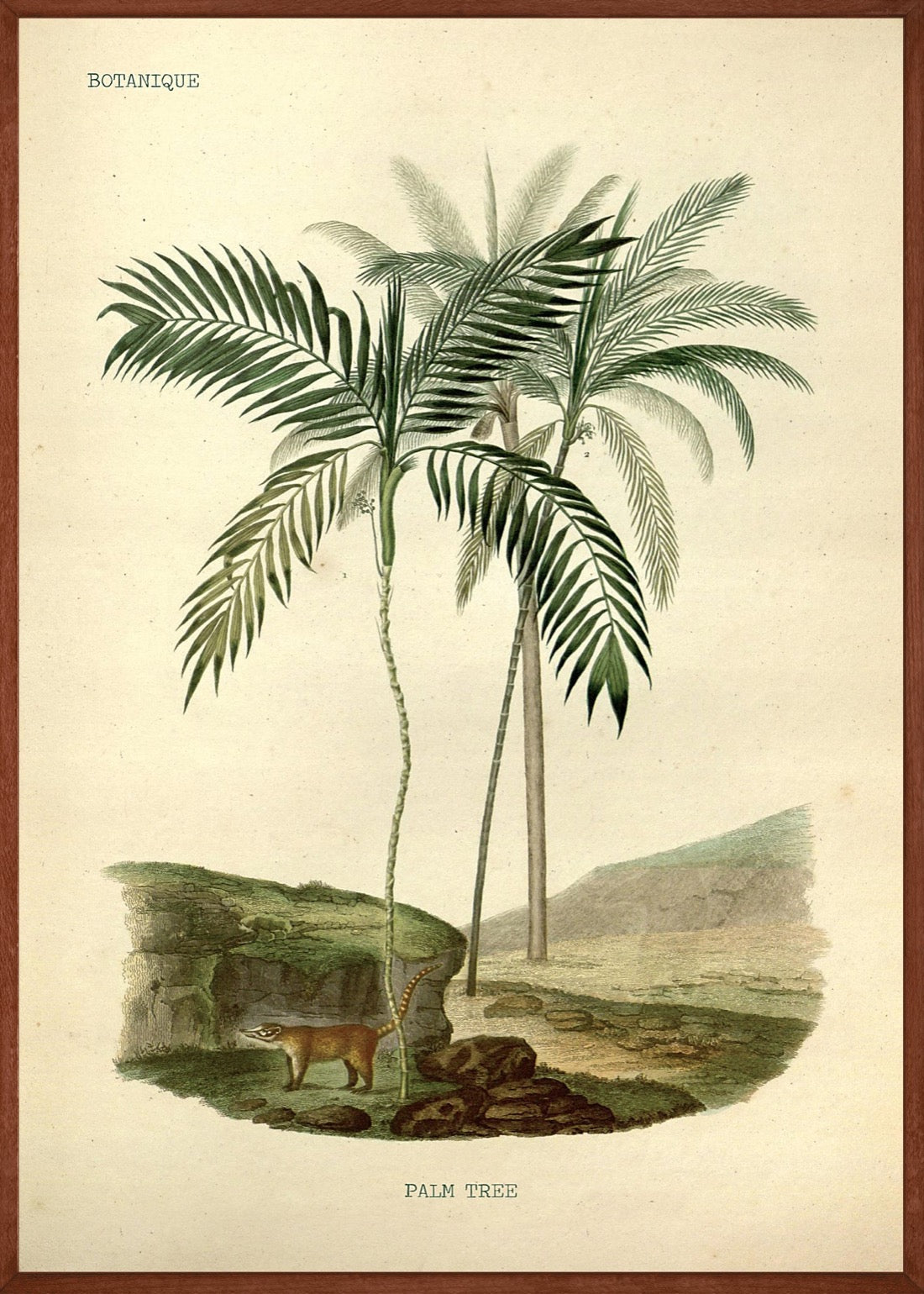 Palm Trees vintage No1 Poster