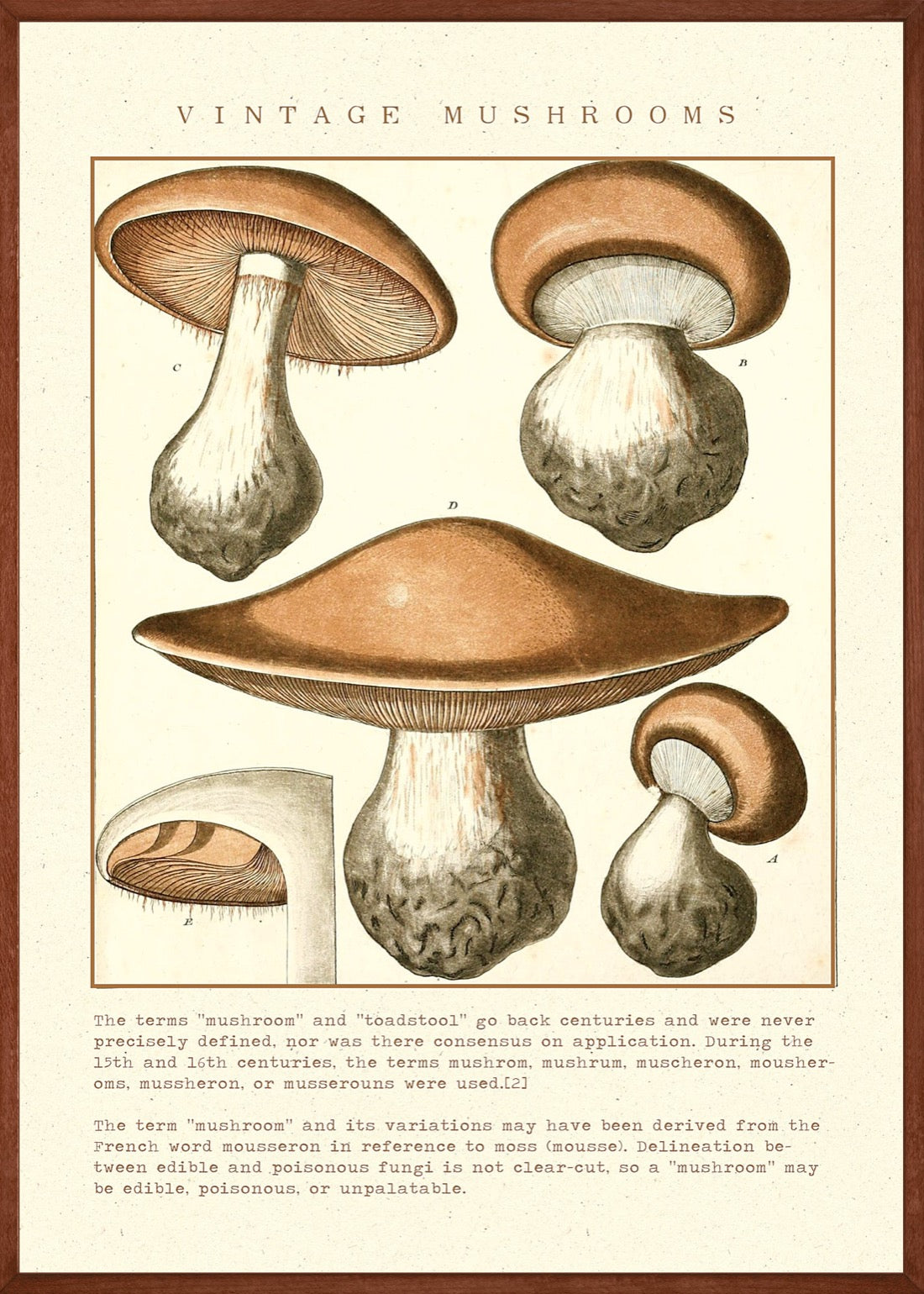 Brown mushrooms vintage posters