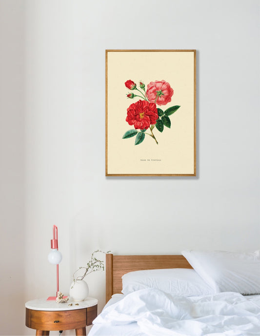 Rosa Gallica Bloem Vintage Poster