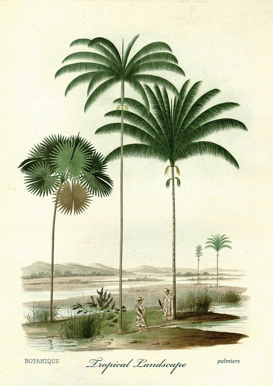 Tropical Landscape Poster Botanic