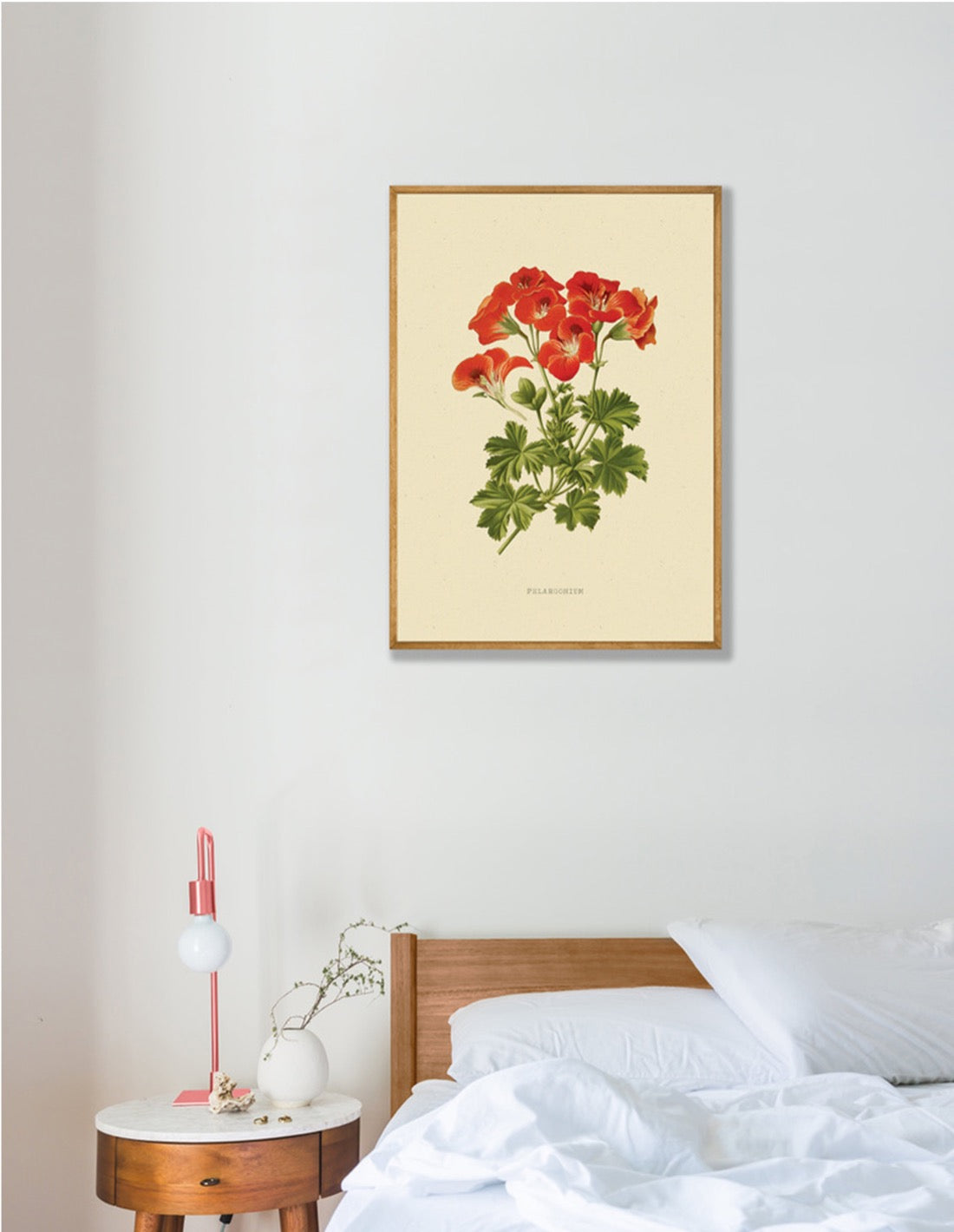 Geranium Bloem Vintage poster