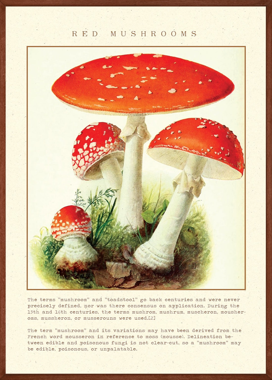 Red Mushrooms Vintage Posters