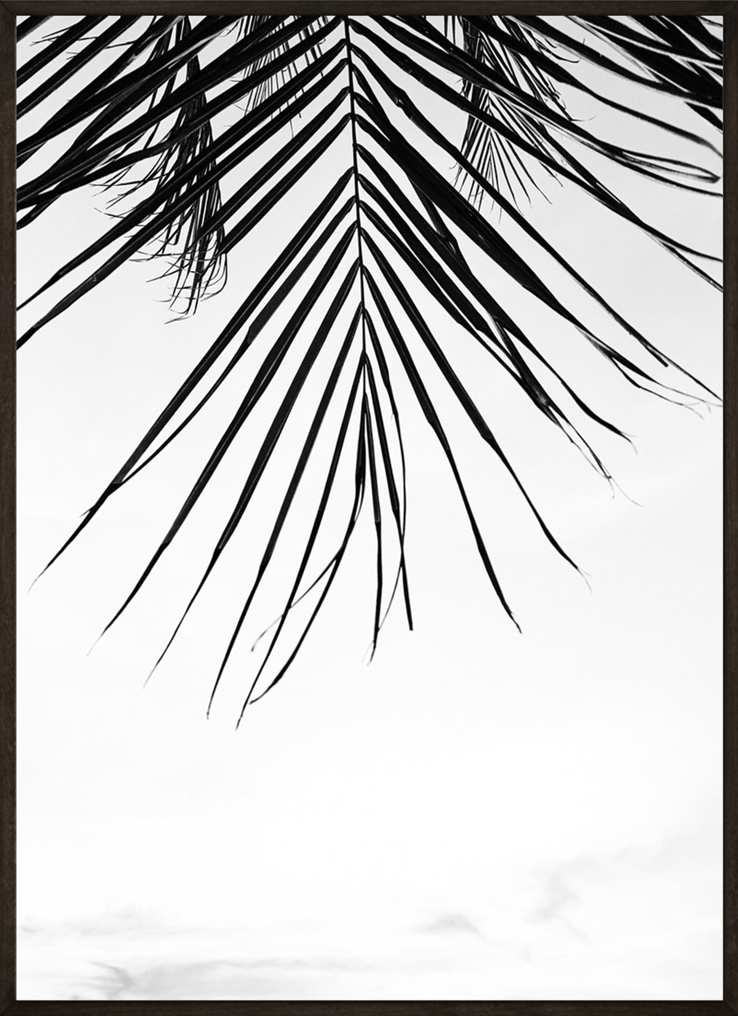 Black and White Palmtree No2 Poster