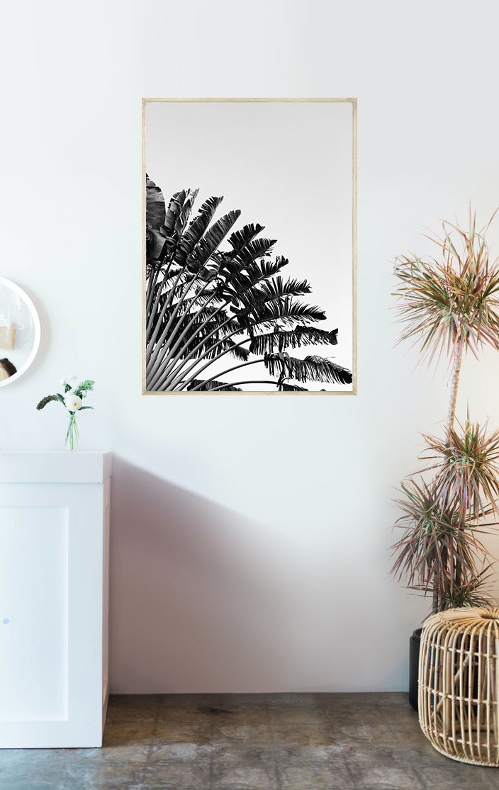 Black and White Palmtree No1 Poster