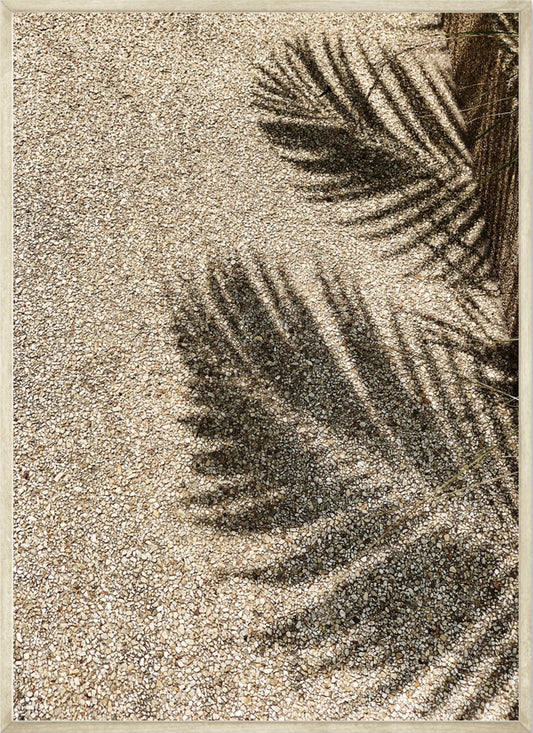 Palmtree Shadow In Sand Poster