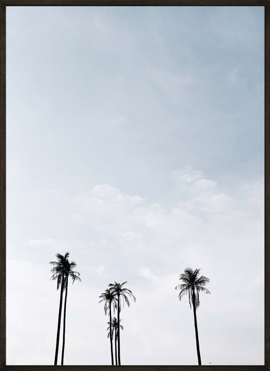 Palmtrees Sky Poster