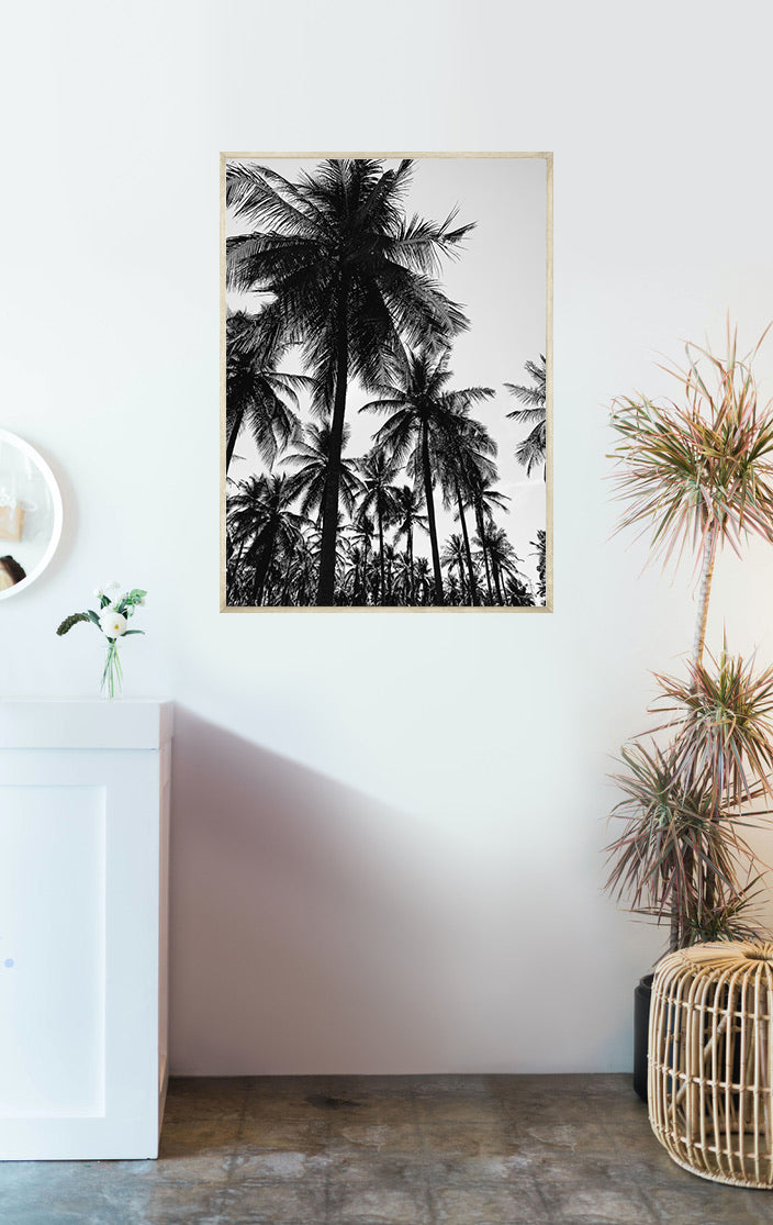 Black and White Palmtrees No3 Poster